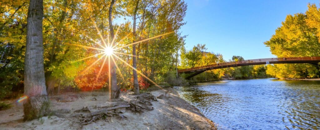 A sunburst through autumn trees by a riverbank, with a wooden bridge crossing the water. The bright blue sky enhances the vibrant yellow and green foliage, creating a peaceful natural scene.