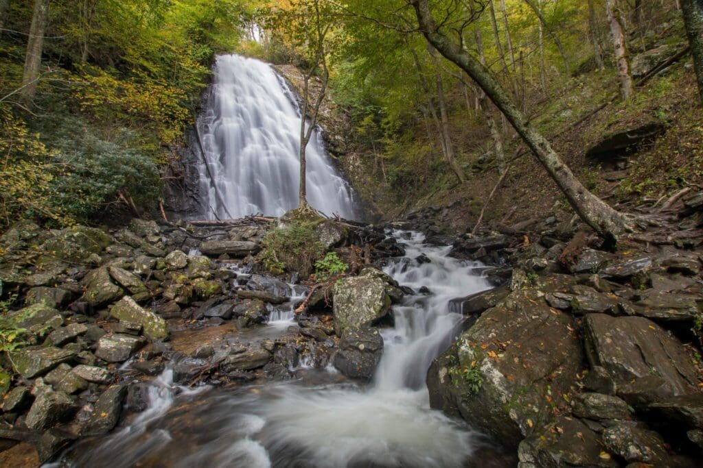 A cascading waterfall flows down a rocky cliff surrounded by lush green trees. The water forms a stream at the base, winding through stones and fallen branches. Sunlight filters through the foliage, creating a peaceful, natural atmosphere.
