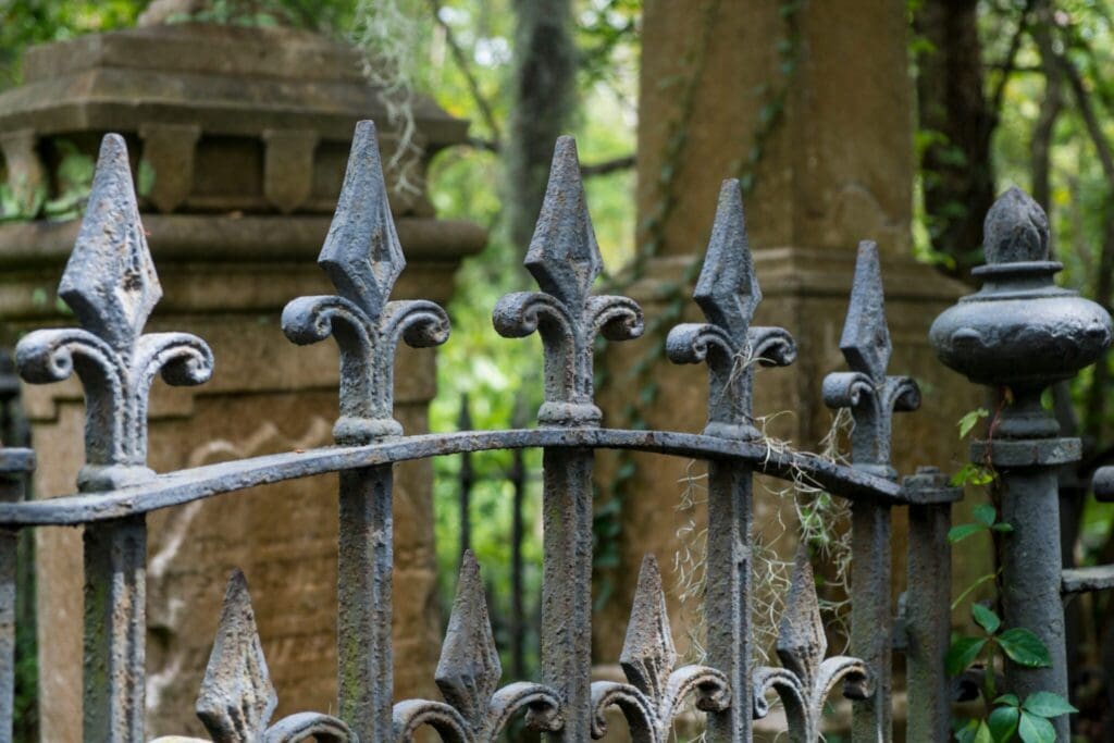 Ornate iron fence with pointed fleur-de-lis designs in the foreground. In the background, weathered stone pillars draped with climbing vines are surrounded by lush greenery. The scene suggests an old, possibly historic, setting.