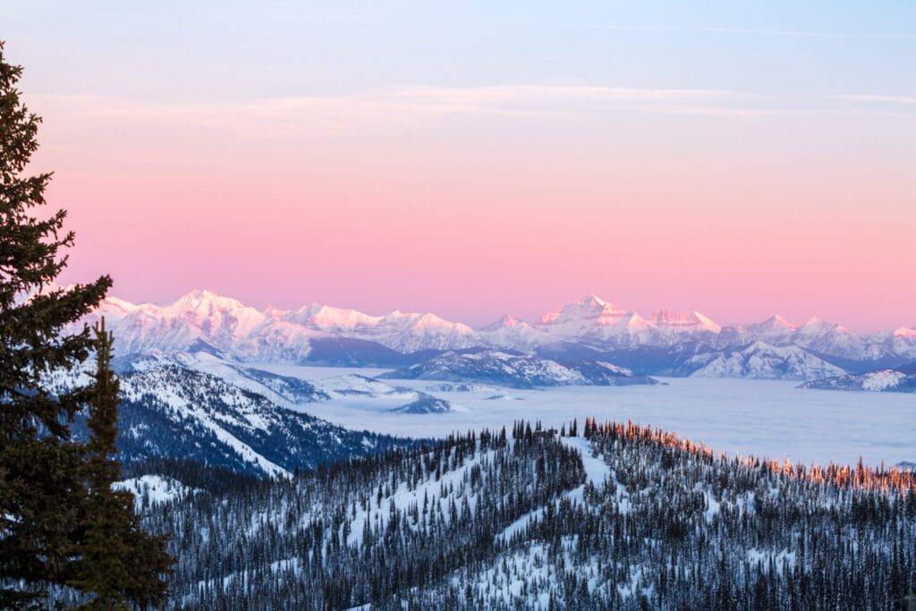 A scenic view of snow-covered mountains under a pink and blue sky at sunrise or sunset. Pine trees dot the snowy landscape, and clouds hug the valleys between the peaks. A tree branch frames the scene on the left.