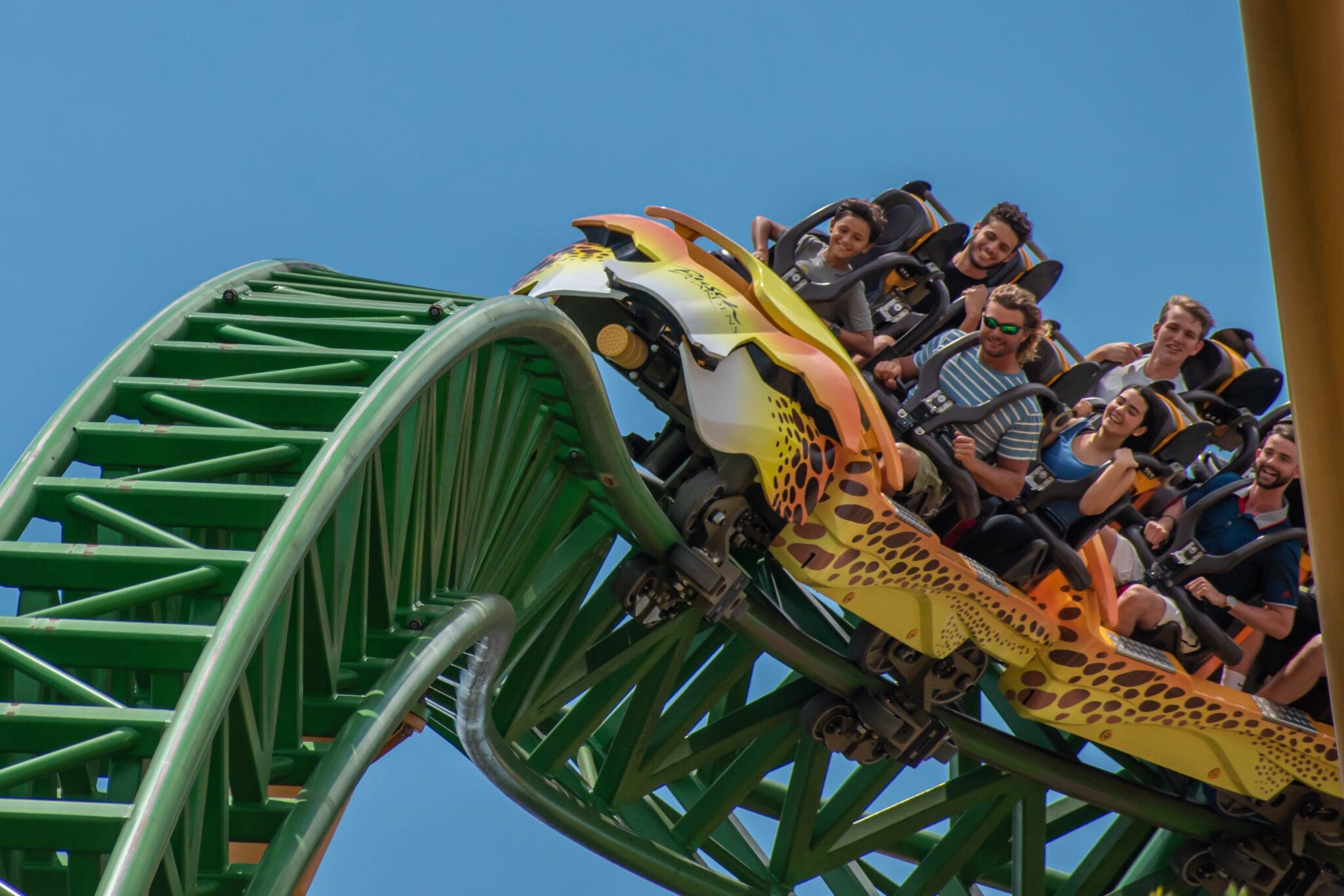 A group of people ride a green and yellow roller coaster with a leopard print design, going upside down on a loop under a clear blue sky. The passengers appear excited and thrilled.