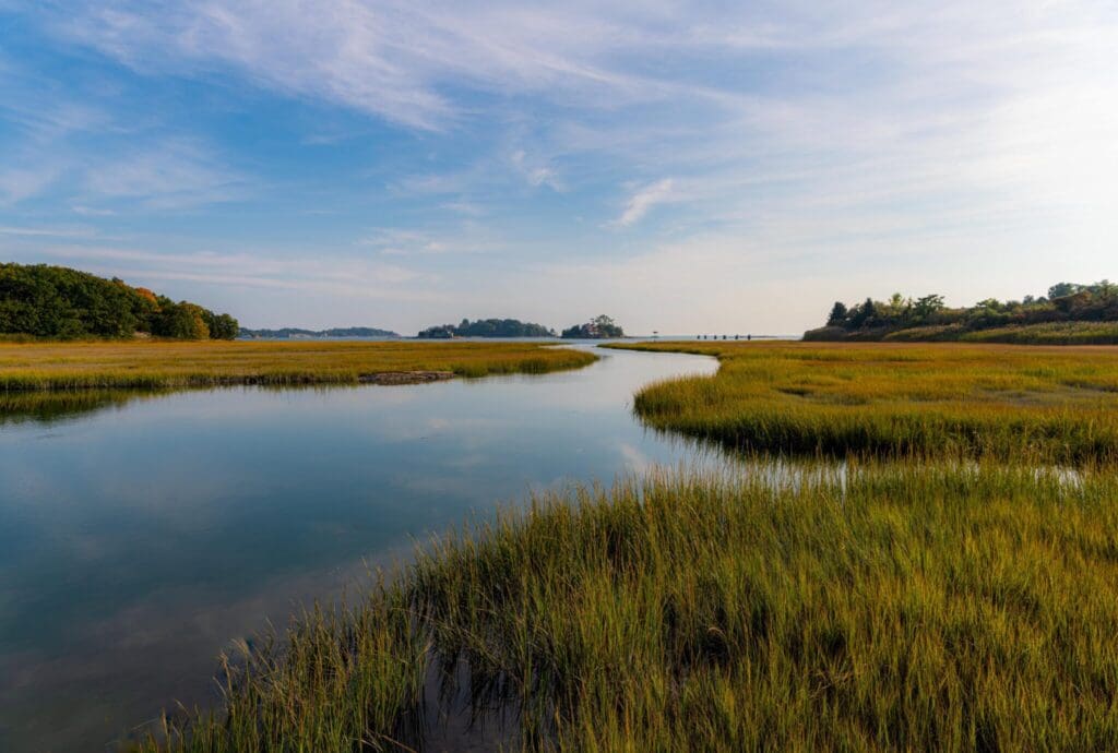 A serene landscape of a calm river winding through green marshlands, under a partly cloudy blue sky. Trees line the horizon in the distance, creating a tranquil natural scene.