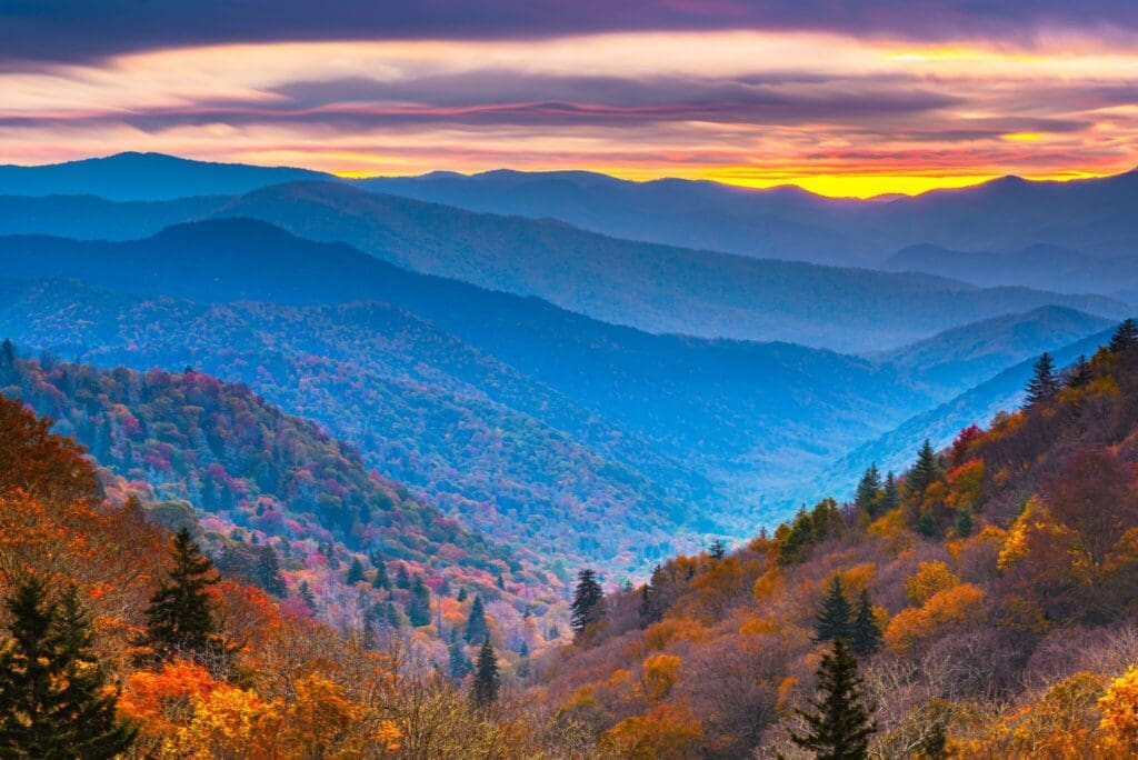 A vibrant sunset illuminates the Great Smoky Mountains, with layers of receding blue hills and a sky painted in purples and oranges. The foreground features a dense forest with trees in vivid autumn colors of red, orange, and yellow.