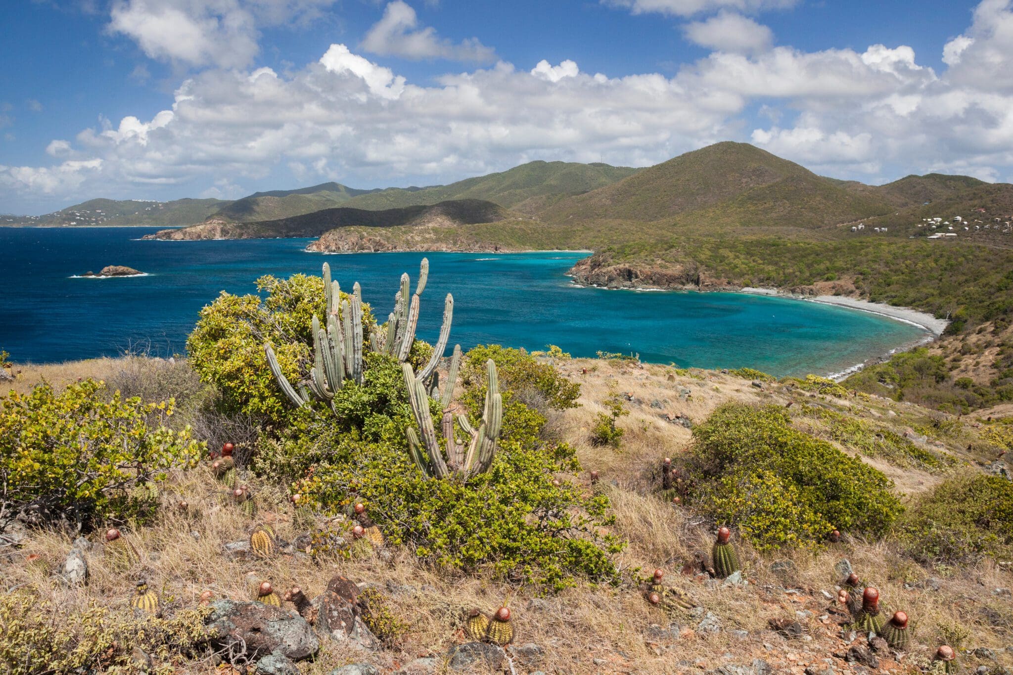 Coastal landscape with a view of a bay, blue ocean, and green hills. The foreground features shrubs and cacti under a partially cloudy sky.