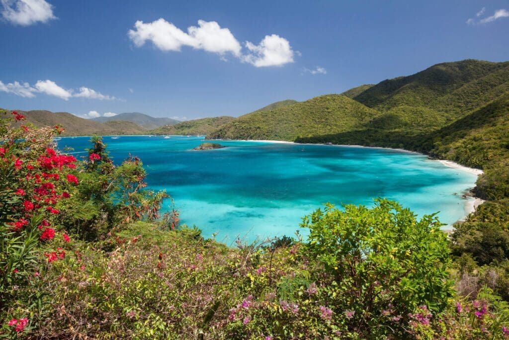 Scenic view of a turquoise bay surrounded by lush green hills under a bright blue sky. Vibrant red and pink flowers are in the foreground, framing the tranquil coastline and clear water.