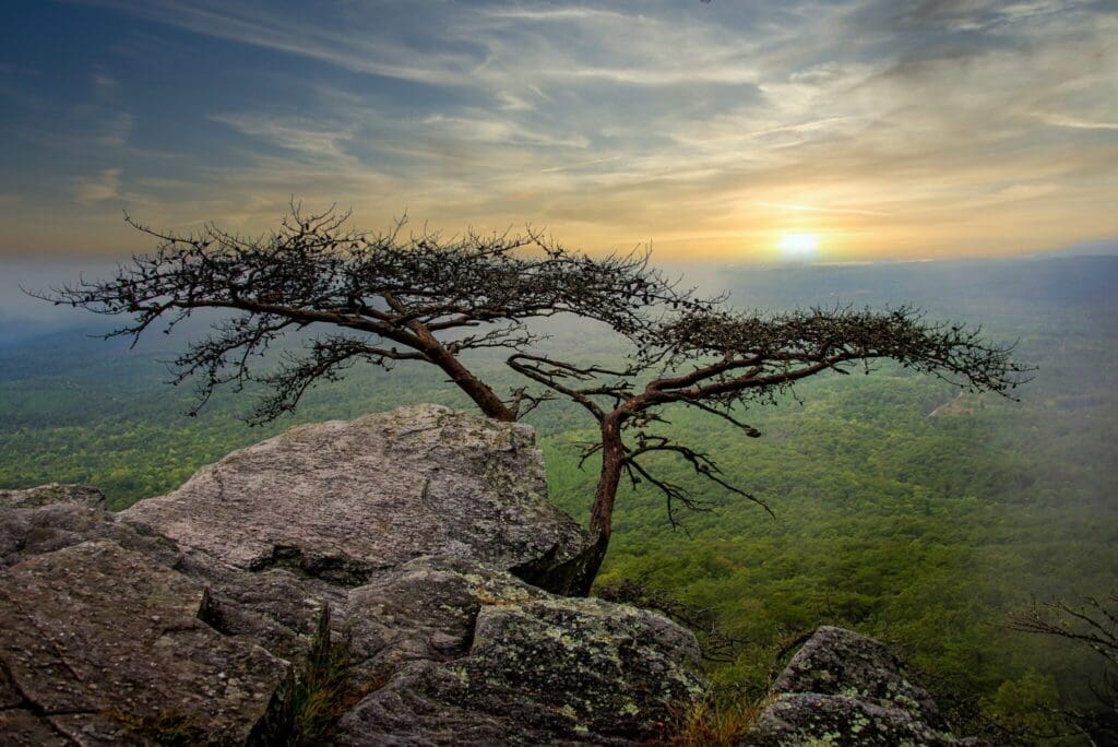 Sunrise at Cheaha State Park