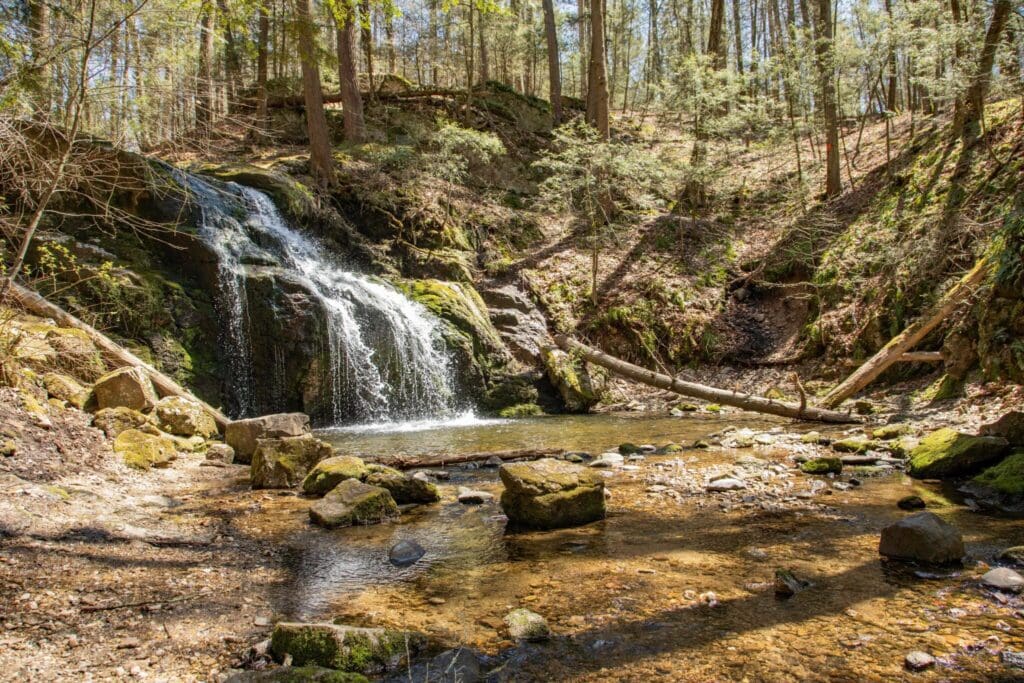A small waterfall cascades over rocks in a forest setting. Sunlight filters through tall trees, illuminating the water and surrounding moss-covered stones. A fallen log rests by the water, and a clear stream flows into a pool at the base of the falls.