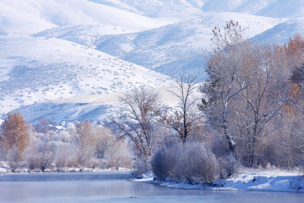 A serene winter landscape featuring snow-covered hills and trees by a calm river. The scene is bathed in soft light, highlighting the frosted branches and creating a peaceful, chilly atmosphere.