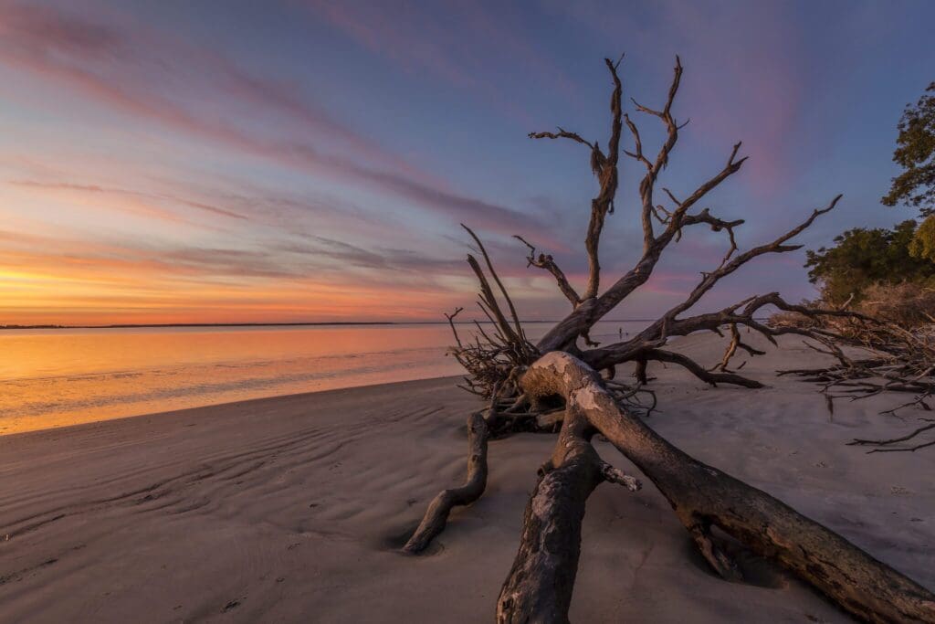 A driftwood tree lies on a sandy beach at sunset. The sky is painted with vibrant hues of orange, pink, and purple. The calm ocean reflects the colors, while sparse greenery is visible on the right.