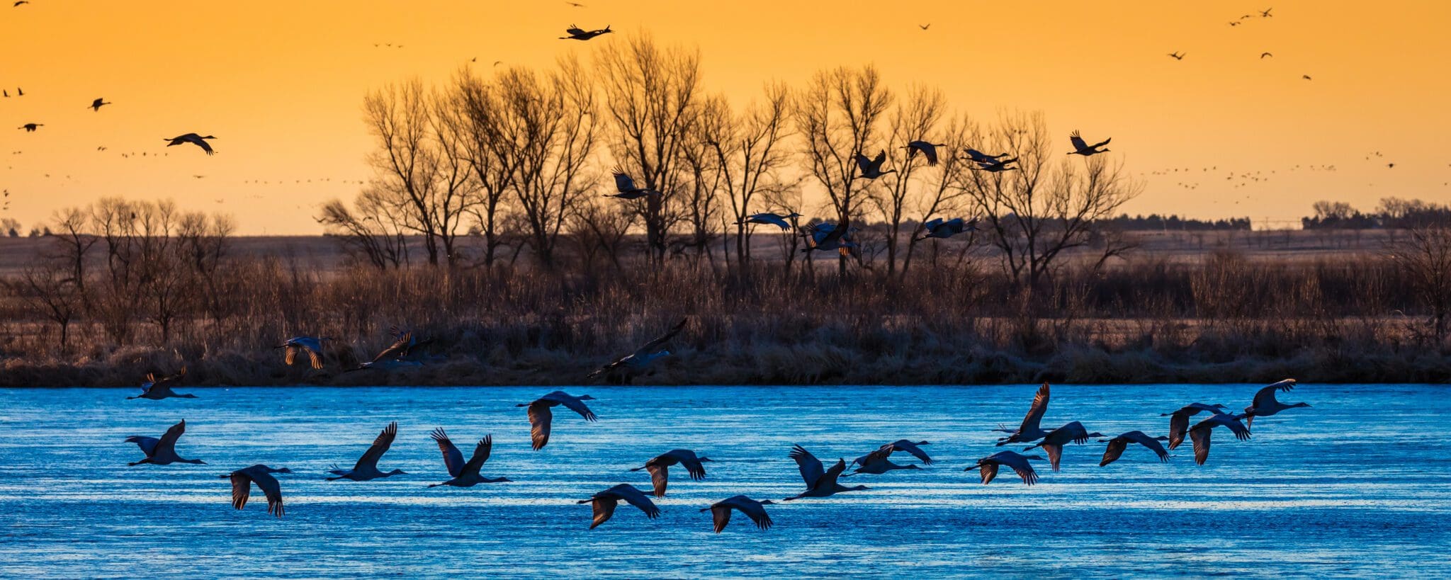 Grand Island, Nebraska: A Unique Blend of History, Culture and ...