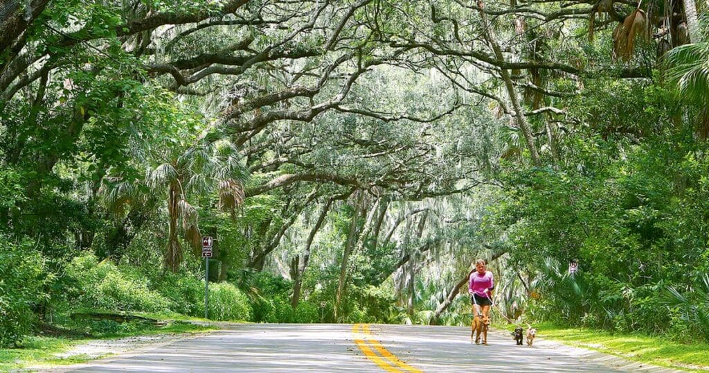 Outdoors in St. Pete/Clearwater.