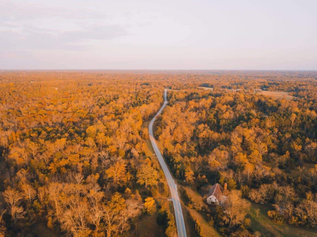 An arial shot of fall foliage.