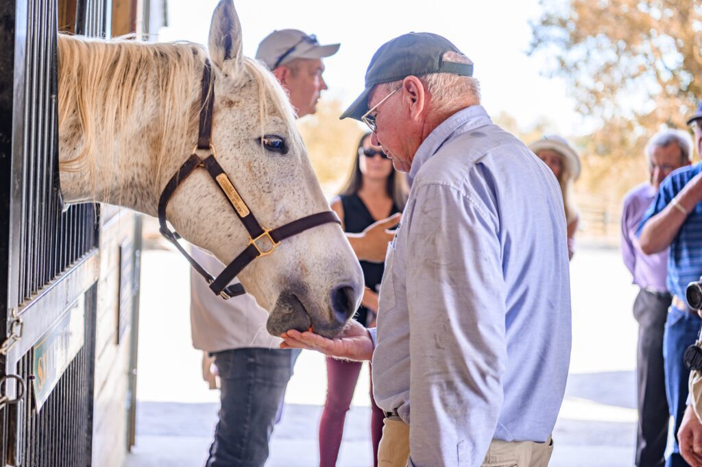 An older man in a cap feeds a white horse from his hand at a stable. Other people, including a woman in sunglasses and a man in a cap, are present. The scene is outdoors and sunny with trees in the background.