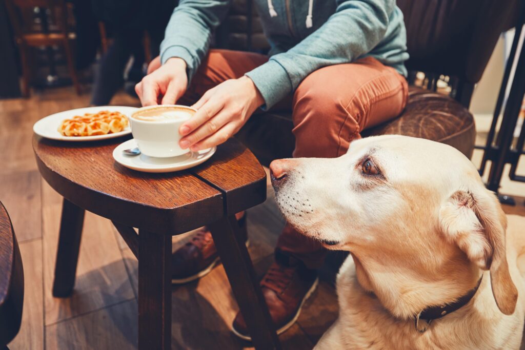 Person in a green hoodie seated at a wooden table in a cafe, holding a cup of coffee. A plate with a pastry is on the table. A Labrador dog attentively observes beside the table, sitting on the floor.