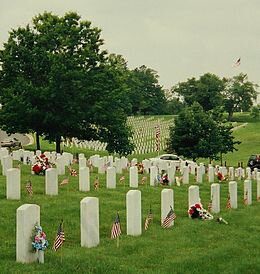 A cemetery with rows of white headstones, each decorated with small American flags and flowers. Green grass and trees surround the graves, and cars are visible in the background.