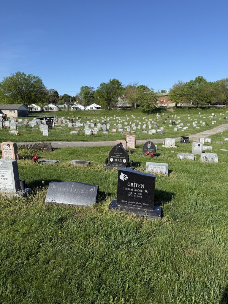 A grassy cemetery on a sunny day with rows of tombstones and headstones of various shapes and sizes; houses and green trees are visible in the background under a clear blue sky.