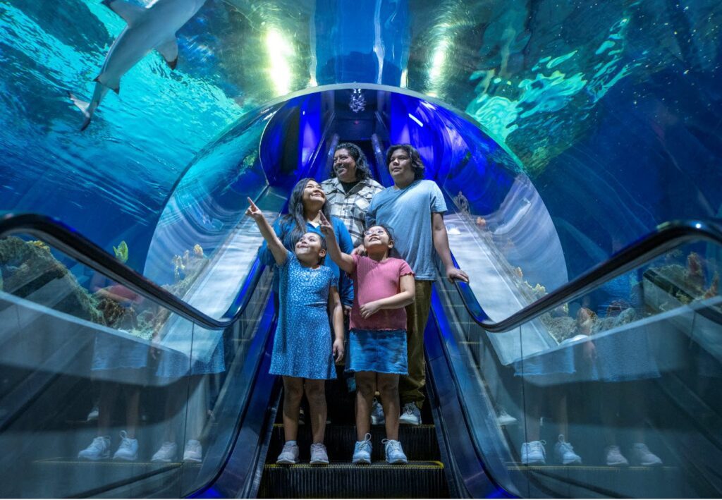 A family of five rides an escalator through an underwater tunnel at an aquarium, with children excitedly pointing at fish and a shark swimming above them. Blue water and marine life surround the clear tunnel.
