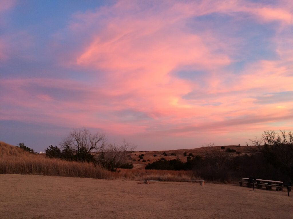 A grassy field with scattered trees under a sky filled with pink and blue clouds at sunset. There are picnic tables and benches on the right side of the image.