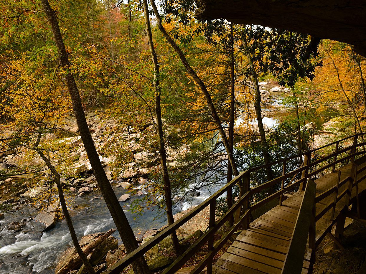 A wooden walkway curves along a rocky riverbank surrounded by trees with autumn foliage in shades of yellow and orange, reflecting in the water under soft daylight.