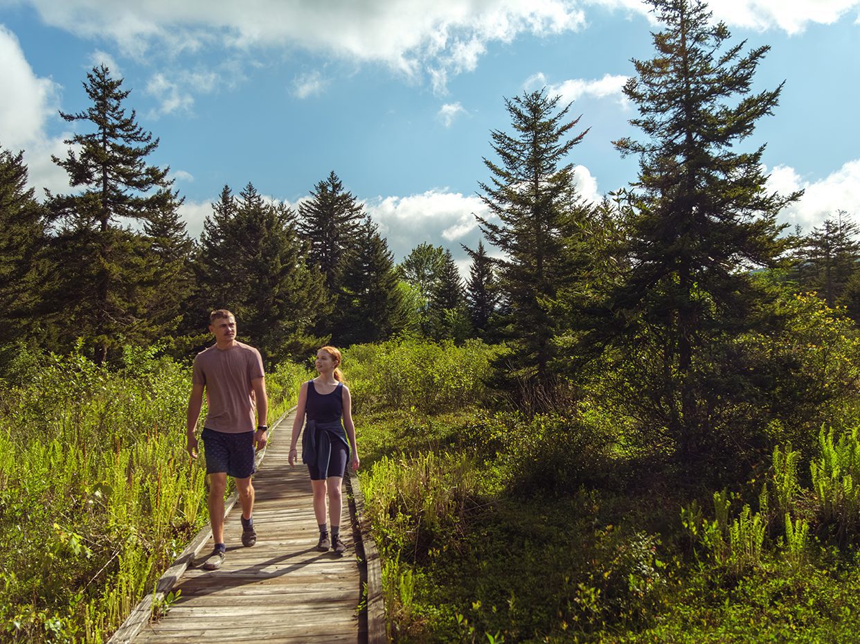 A man and a woman walk on a wooden boardwalk through a lush, green forest with tall pine trees under a bright, partly cloudy sky.
