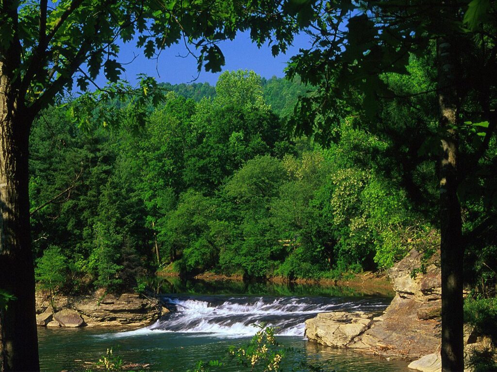 A small waterfall flows over rocks in a river, surrounded by dense green trees and foliage under a clear blue sky, framed by tree trunks in the foreground.