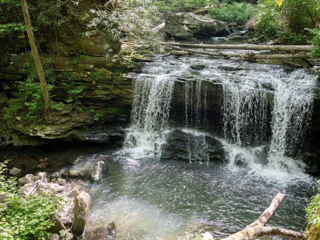 A small waterfall cascades over a rocky ledge into a shallow pool surrounded by lush green plants and trees in a forest setting. Sunlight filters through the leaves, illuminating the scene.