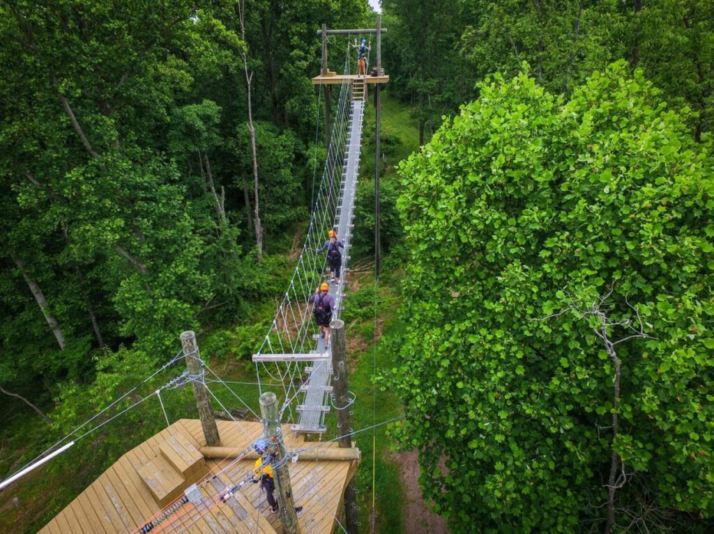 People cross a suspension bridge high above the ground in a lush, green forest canopy adventure park. Safety ropes and harnesses are visible, with wooden platforms at each end of the bridge.