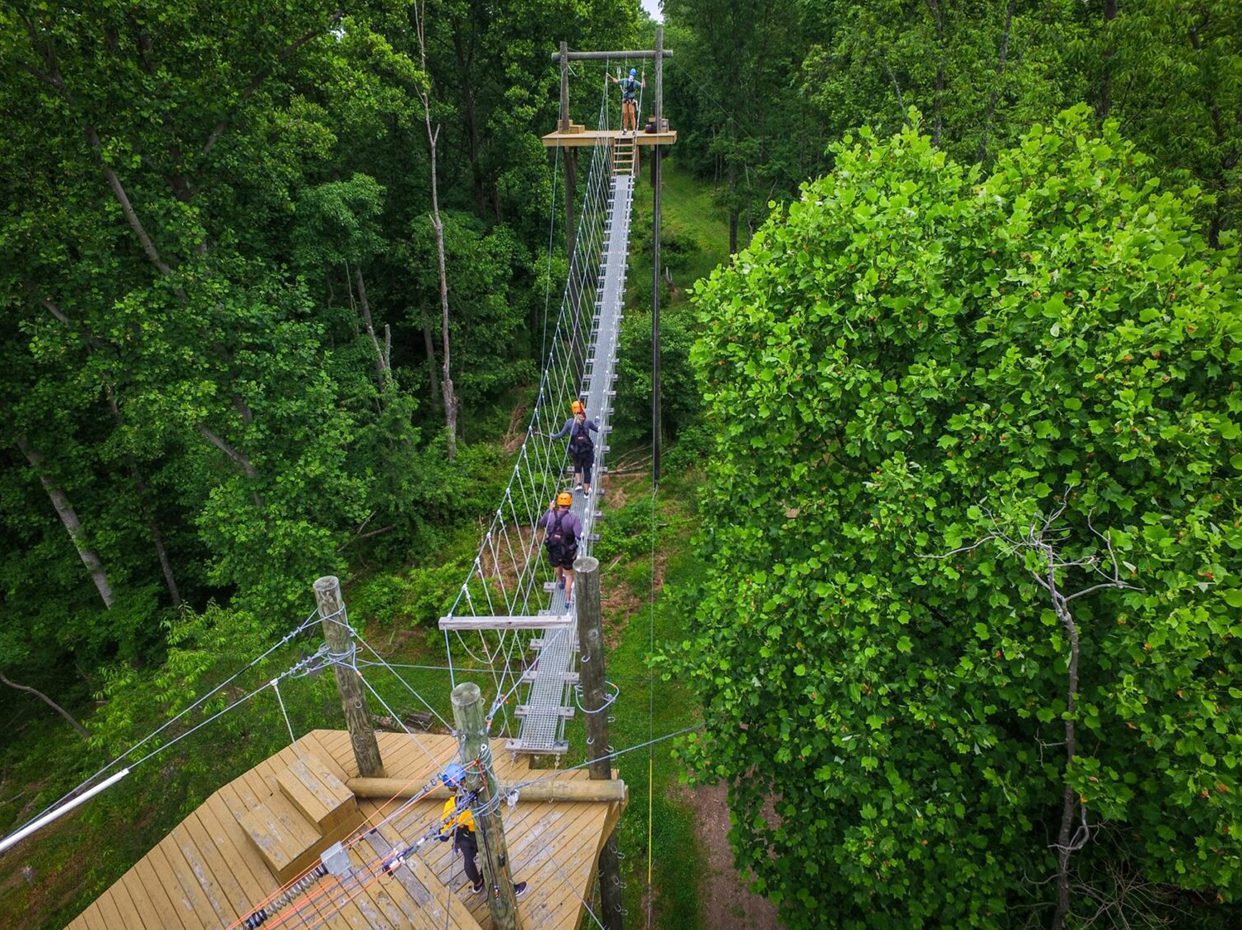 People cross a suspension bridge high above the ground in a lush, green forest canopy adventure park. Safety ropes and harnesses are visible, with wooden platforms at each end of the bridge.
