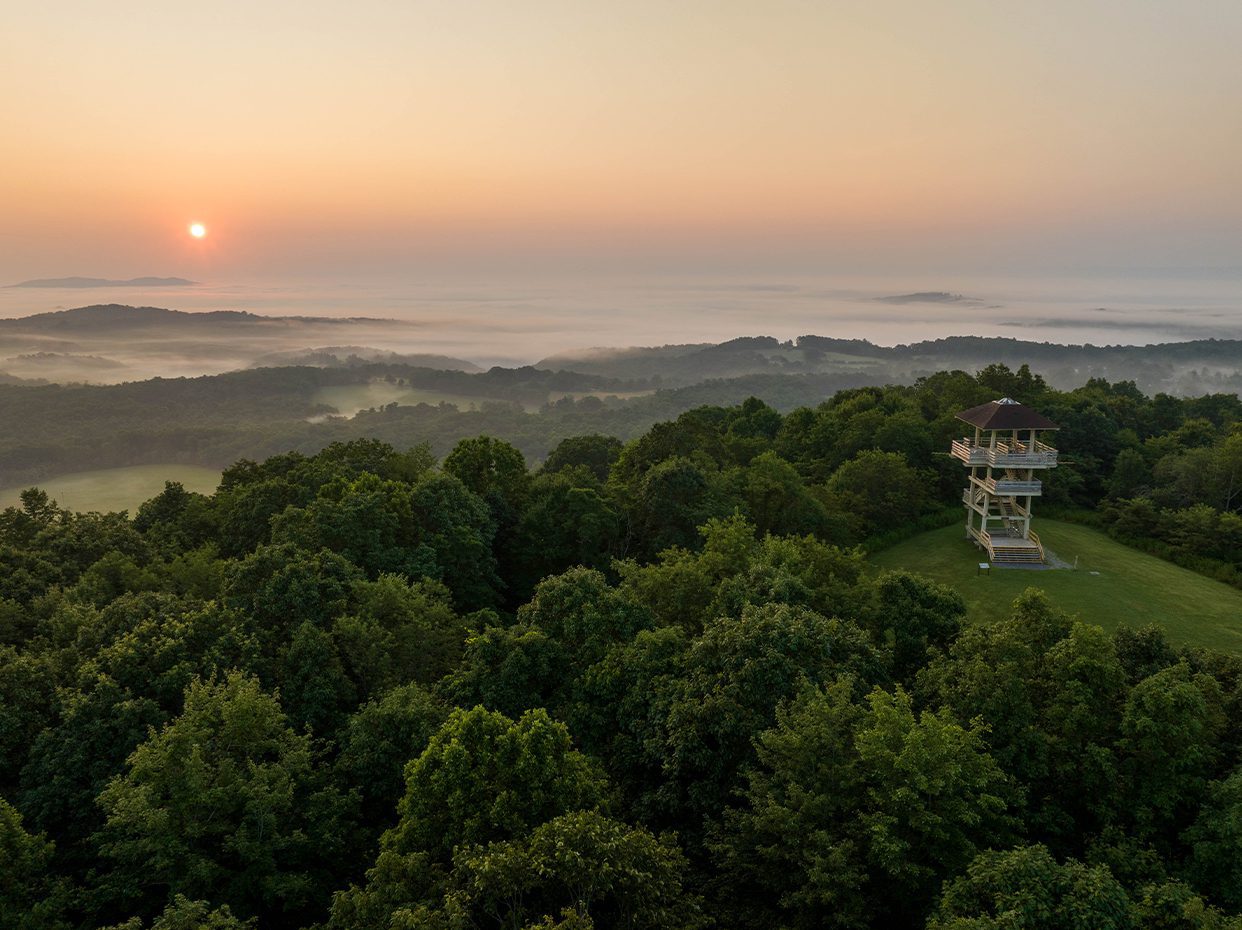 Sunrise over a lush, green forest with rolling hills, mist in the valleys, and a wooden observation tower on a grassy clearing in the foreground.