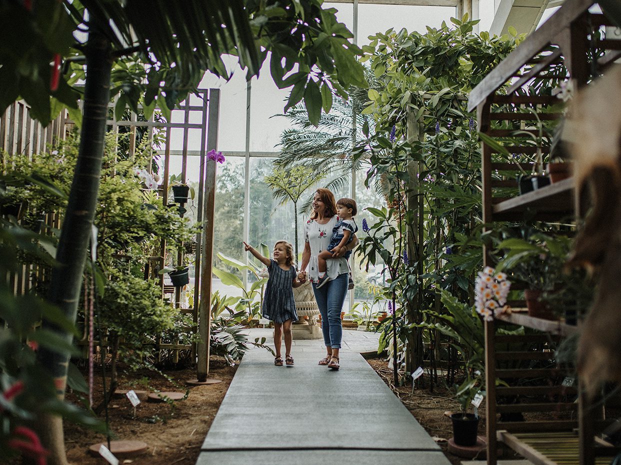 A woman walks with two young children along a path inside a lush greenhouse filled with various green plants. One child points upward, and sunlight streams through large windows in the background.