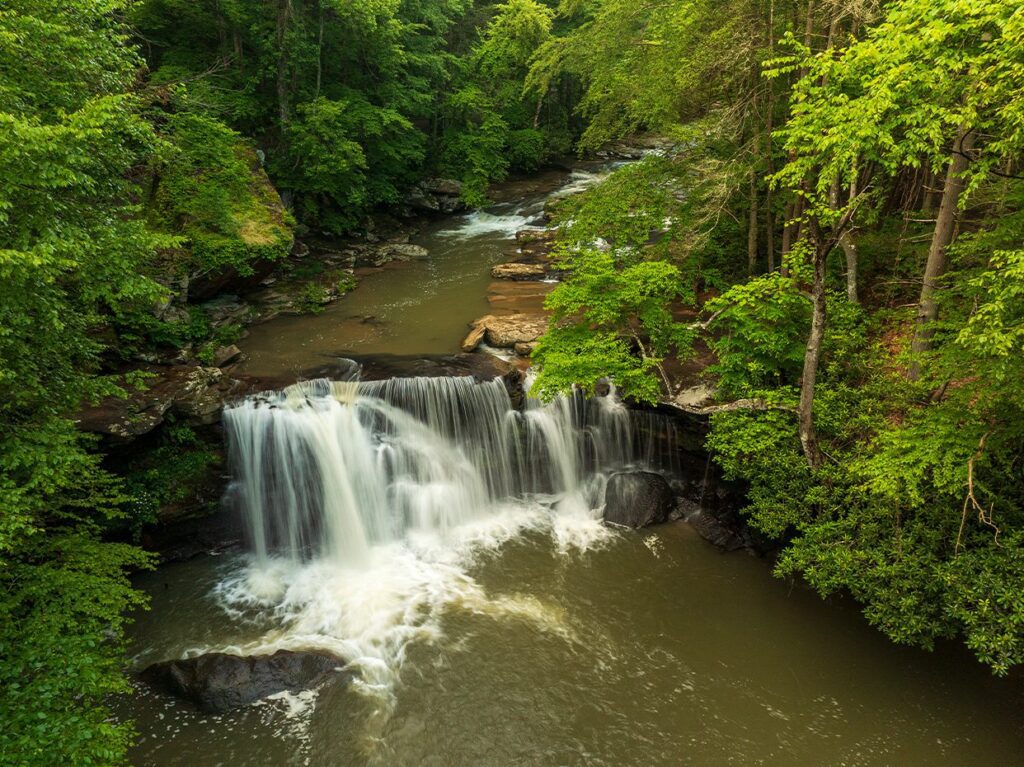 A small waterfall cascades over rocks into a river, surrounded by lush green trees and dense forest under soft daylight.