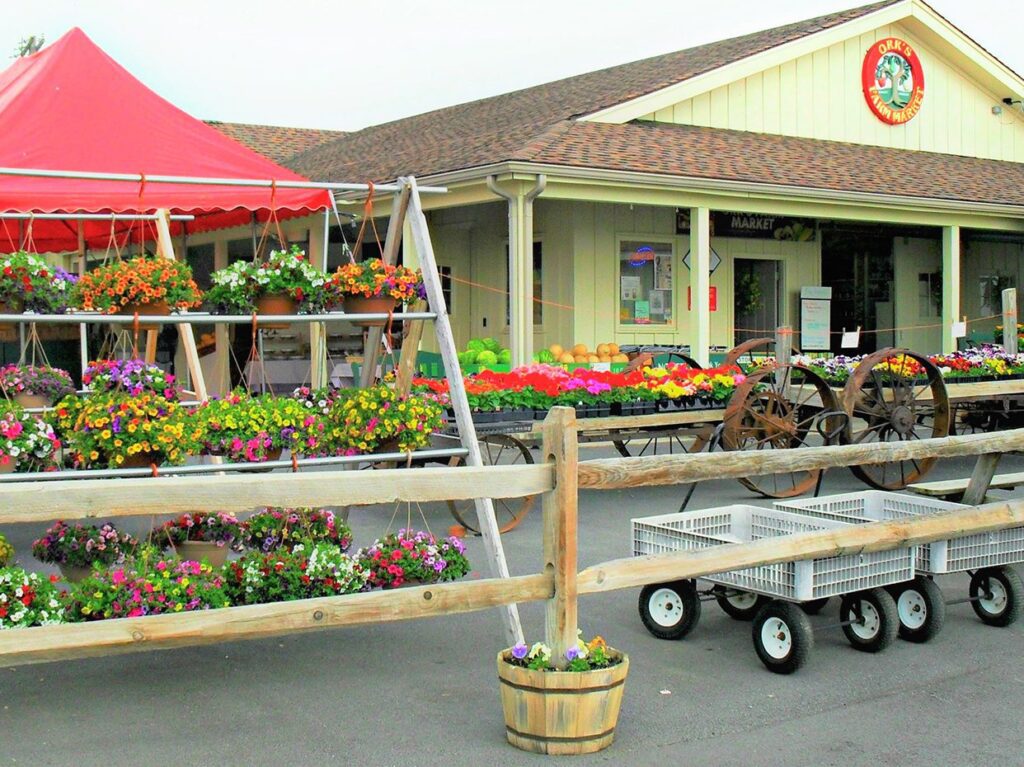 An outdoor market with colorful flowers, plants, pumpkins, and produce stands. A red tent covers part of the display. Wooden carts and crates are visible near a wooden fence in front of a market building.