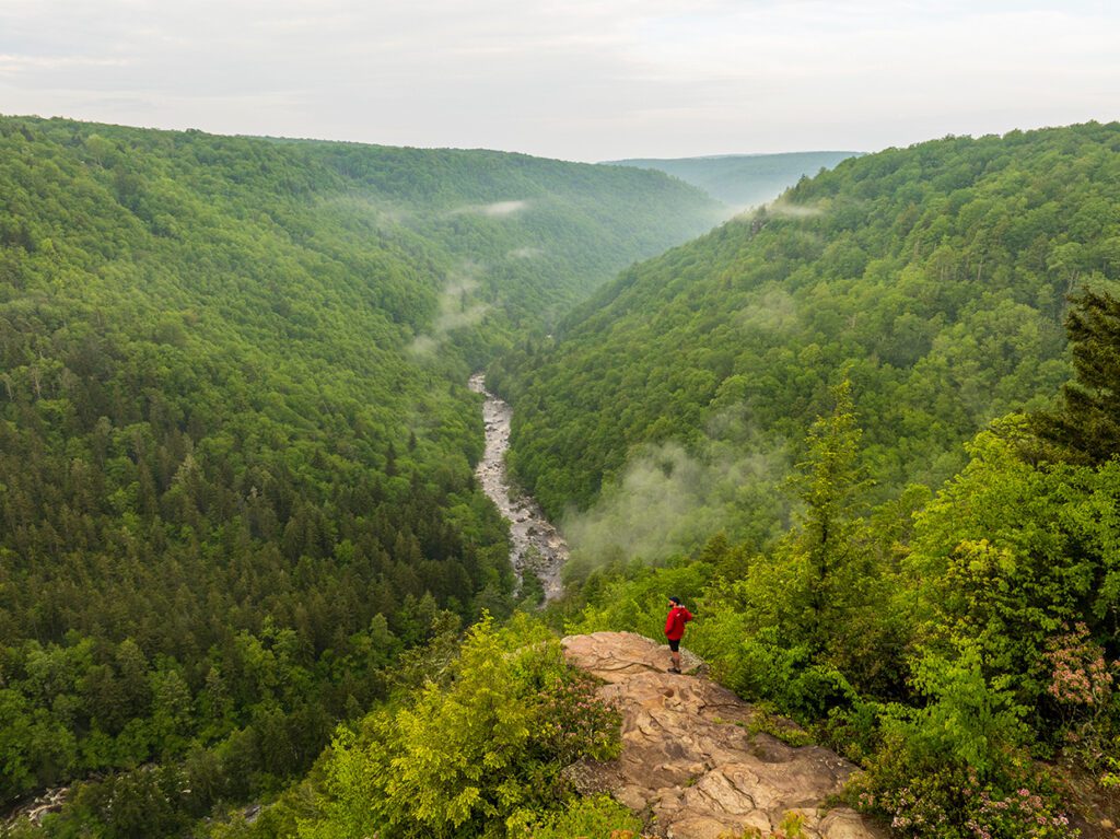 A person in a red jacket stands on a rocky overlook, gazing at a lush, green valley with a river winding through dense forest and mist rising between the hills under a cloudy sky.