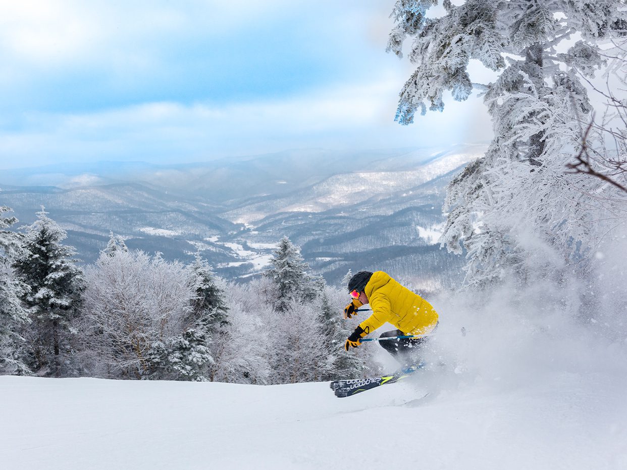A skier in a bright yellow jacket carves down a snowy slope surrounded by snow-covered trees, with a scenic mountain landscape and cloudy blue sky in the background.