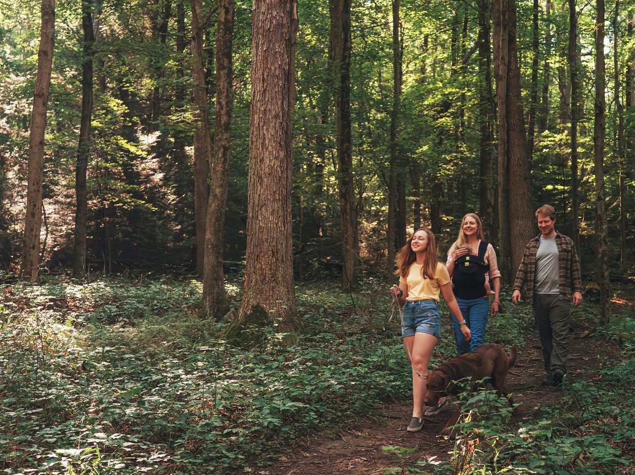 Three adults and a dog walk along a forest trail surrounded by tall trees and green foliage. Sunlight filters through the leaves, creating a peaceful, natural setting.