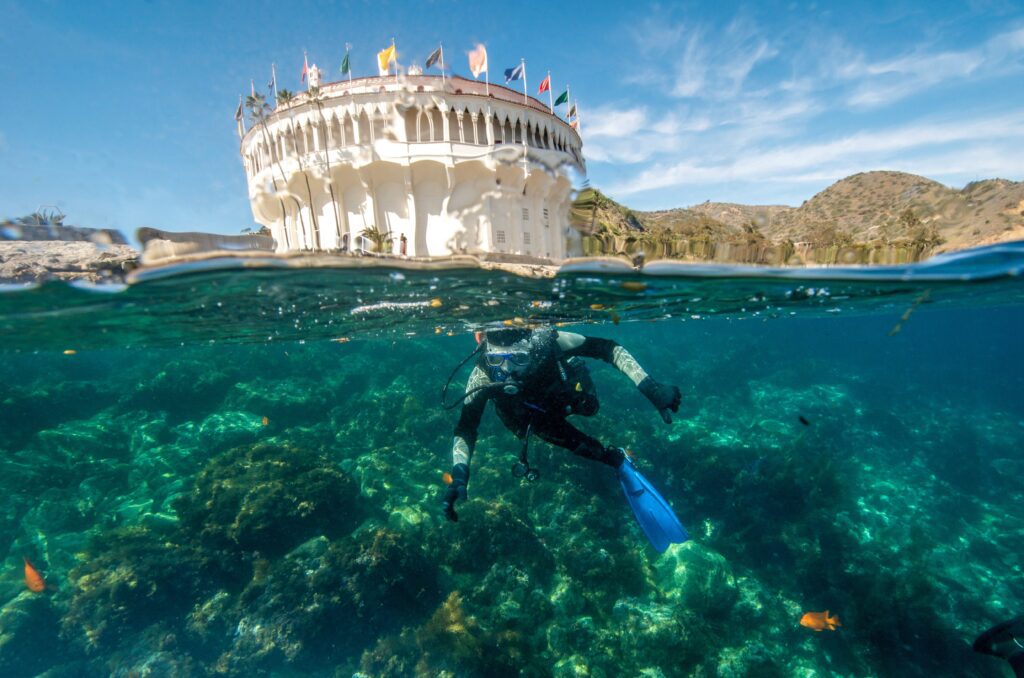 A scuba diver swims in clear turquoise water near a white, round building with flags on top; the photo is half underwater, half above, showing rocks and fish below and blue sky above.