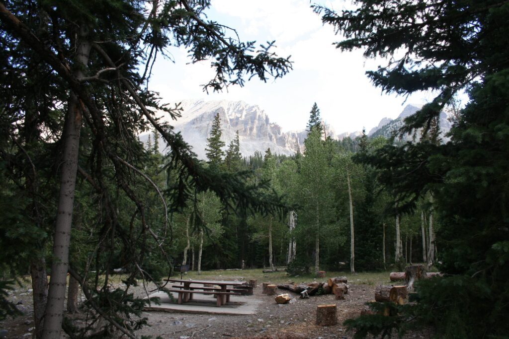 A forested campsite with picnic tables and tree stumps, surrounded by tall pine trees, with rugged mountains visible in the background under a partly cloudy sky.
