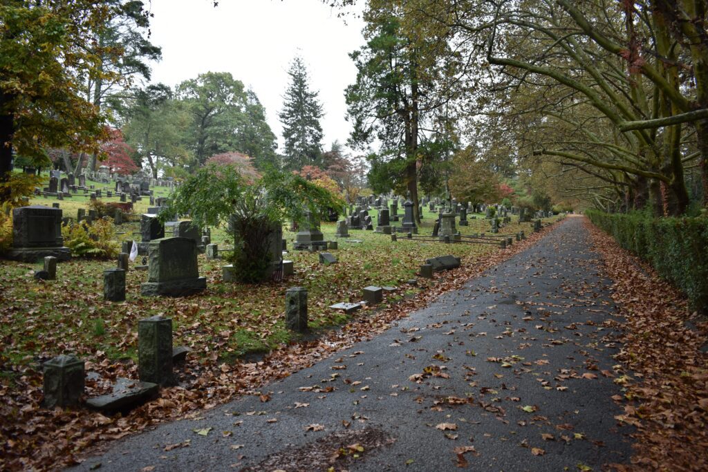 A cemetery with numerous headstones scattered across grassy ground, fallen autumn leaves covering the area, and a paved path lined with trees extending into the distance on the right.