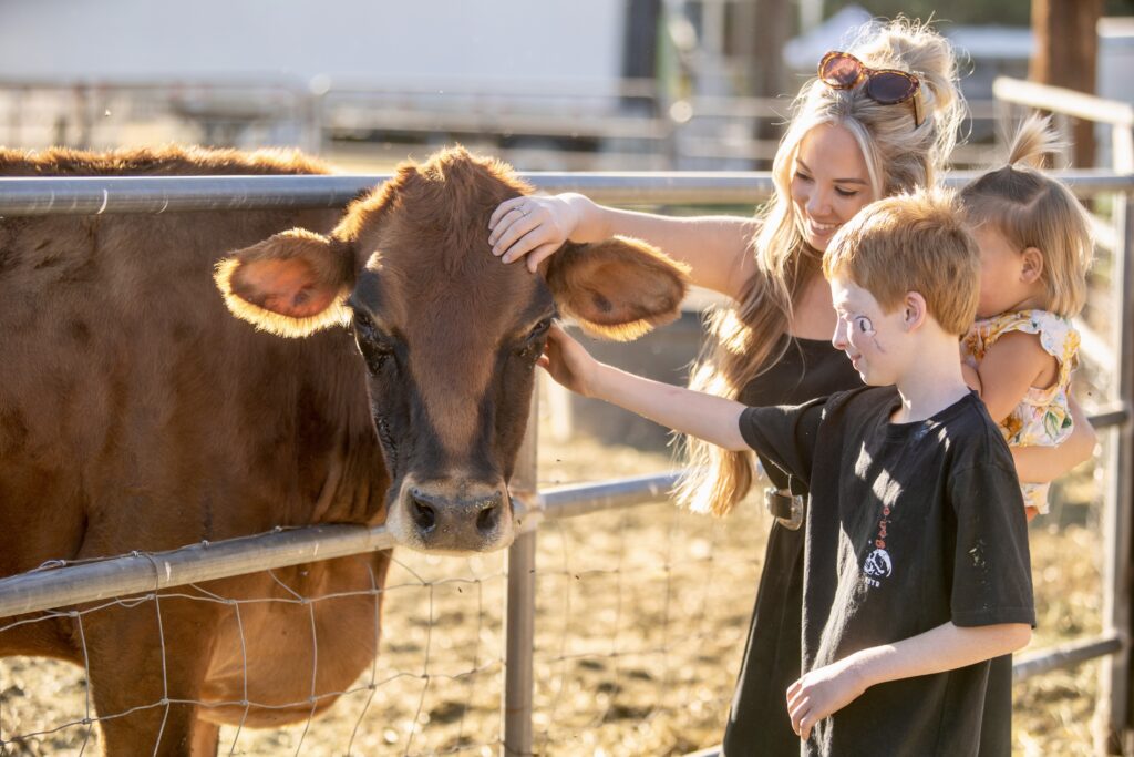 A woman, a young boy, and a toddler pet a brown cow behind a metal fence at an outdoor farm during daylight.
