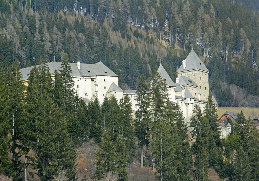 Large stone castle with multiple towers and grey roofs, partially obscured by tall evergreen trees, set against a forested hillside.