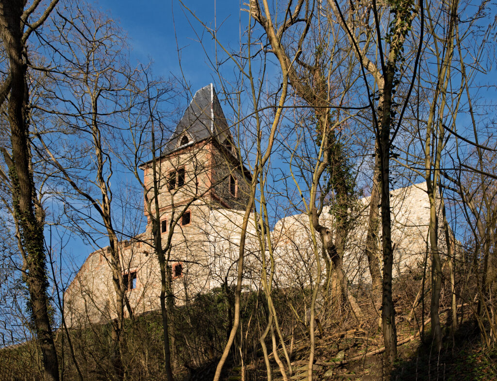 A stone castle with a steep roof stands atop a hill, partially obscured by leafless trees under a clear blue sky.