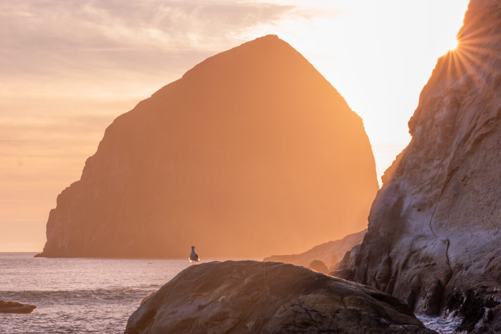 A person stands on a rock by the ocean at sunset, with a large sea stack and sun rays visible in the background.