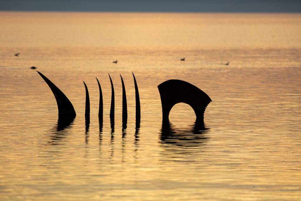 Metal sculpture resembling a fish skeleton partially submerged in calm water at sunset, with a few birds in the distance.