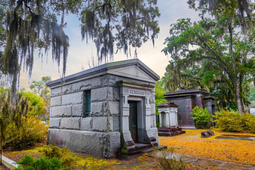 Gray stone mausoleums stand among trees draped with Spanish moss in a cemetery, with yellow leaves scattered on the ground.