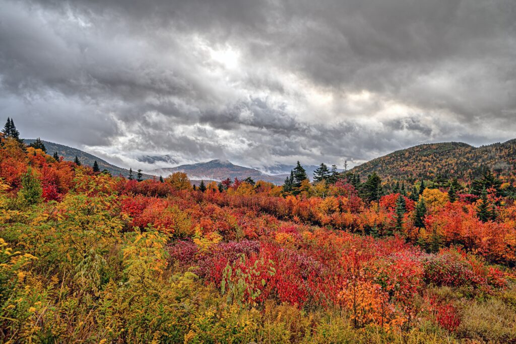 Colorful autumn foliage covers a hilly landscape under a cloudy sky, with a distant mountain visible in the background.