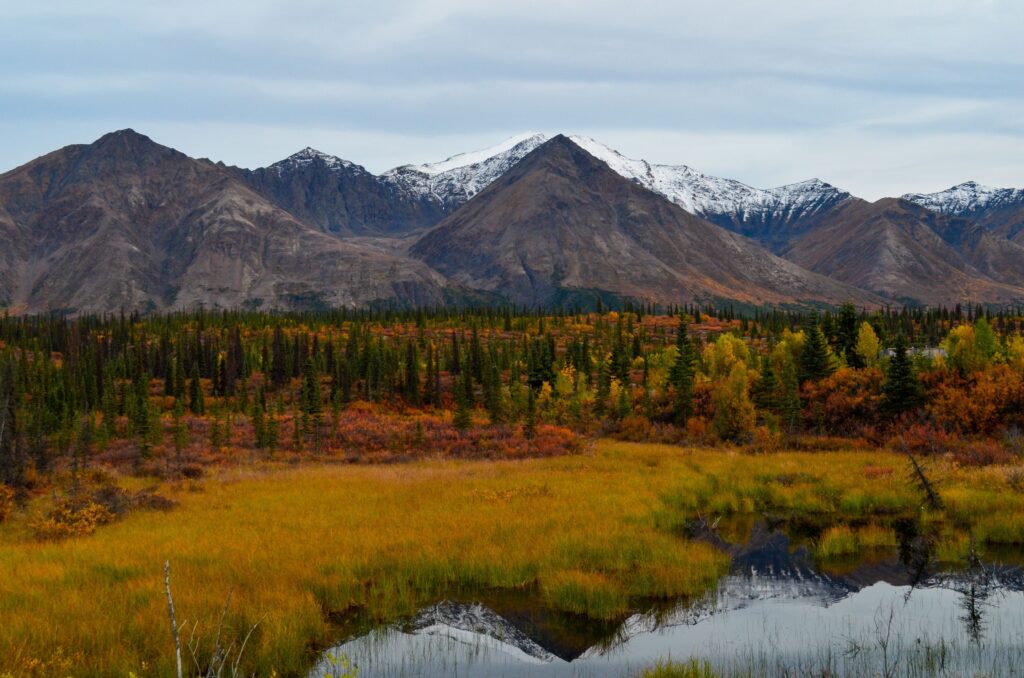 Snow-capped mountains rise behind a forest of evergreen and autumn-colored trees, with a grassy field and a reflective pond in the foreground under a cloudy sky.