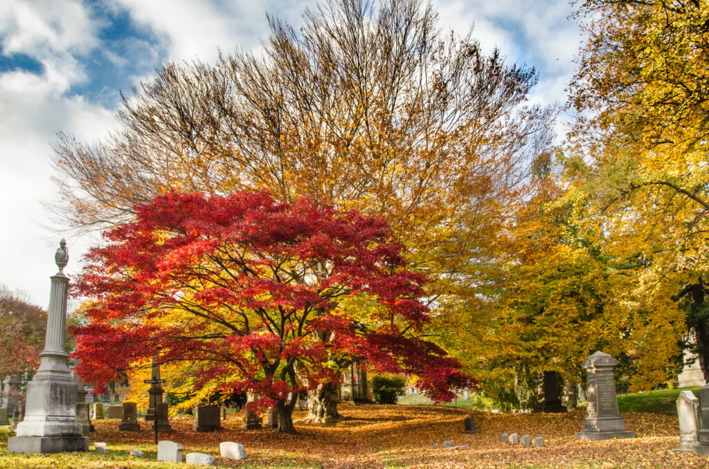 A cemetery with gravestones and monuments surrounded by trees with autumn foliage in shades of red, yellow, and orange under a partly cloudy sky.