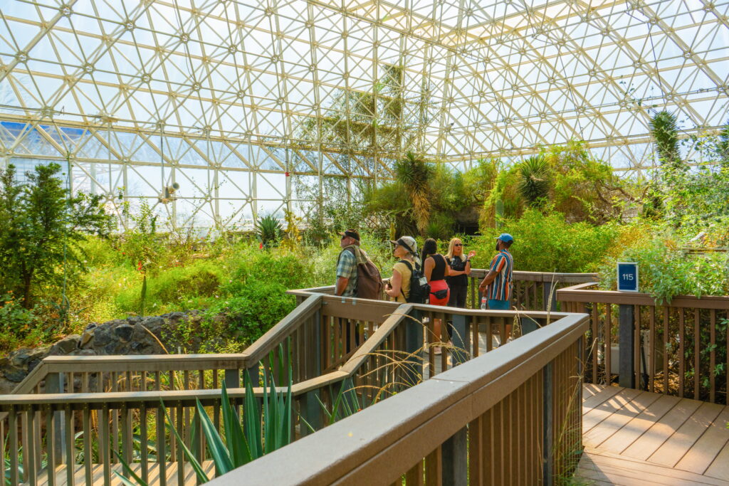 A group of four visitors stands on a wooden observation deck inside a large, glass-domed botanical conservatory.
