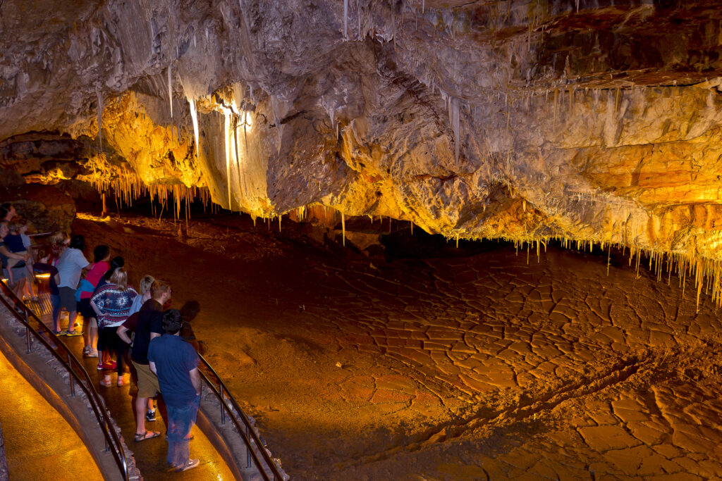 A group of people on a walkway observing a cave with stalactites and a dry, cracked mud floor.