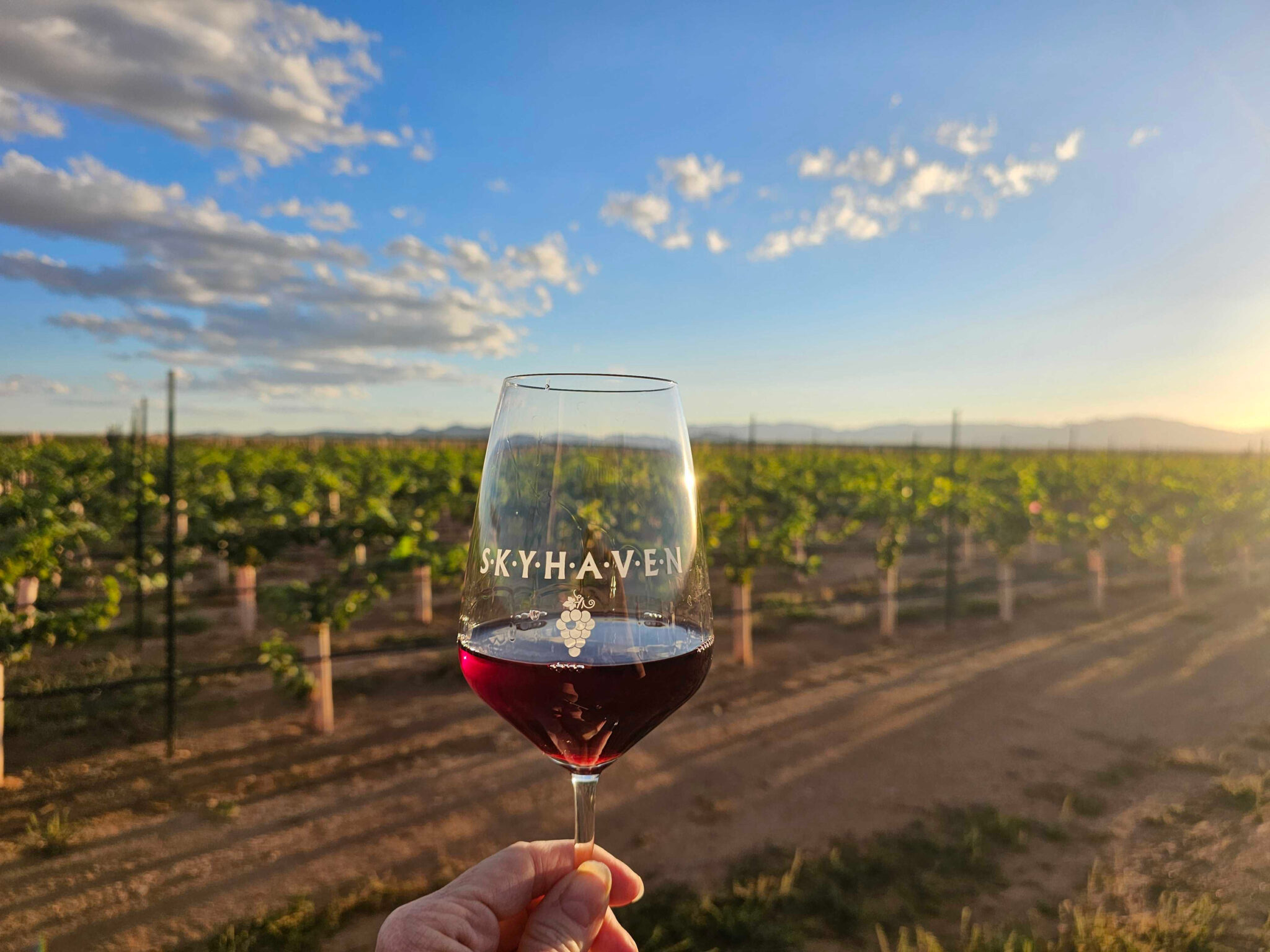 A hand holds a glass of red wine branded with “SKYHAVEN” in front of a vineyard at sunset.